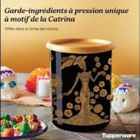 Tupperware One Touch Canister La Catrina